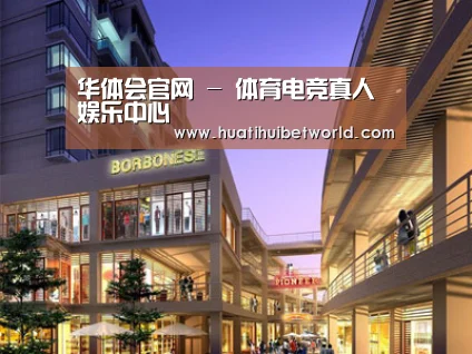 案例展示一(图1)